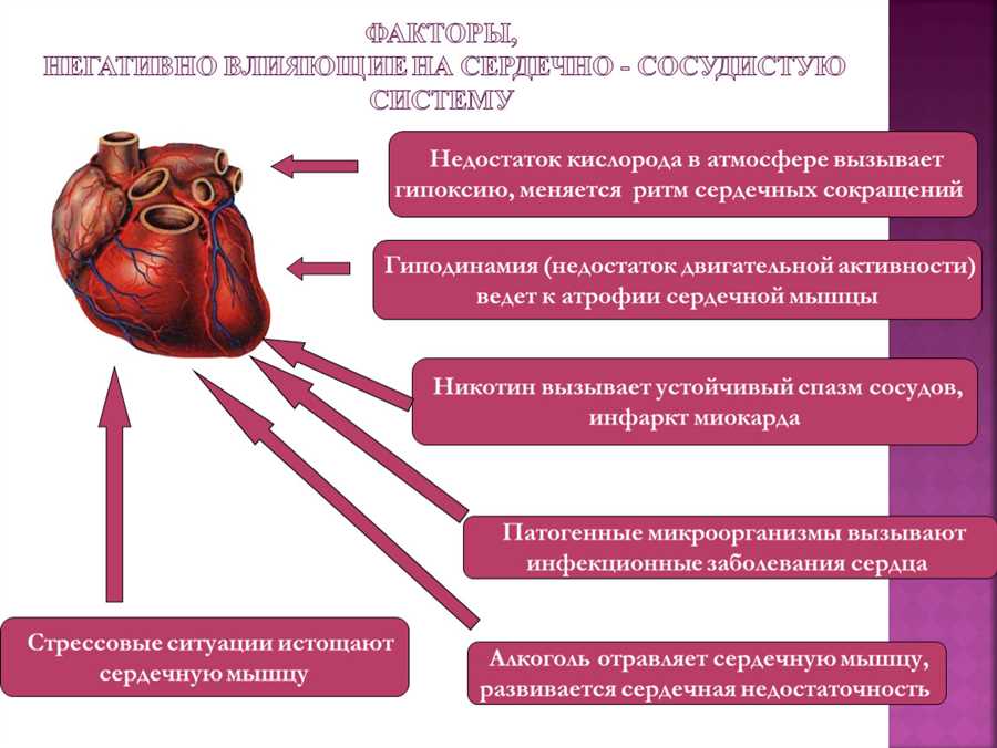 Как сауна влияет на работу сердечно-сосудистой системы