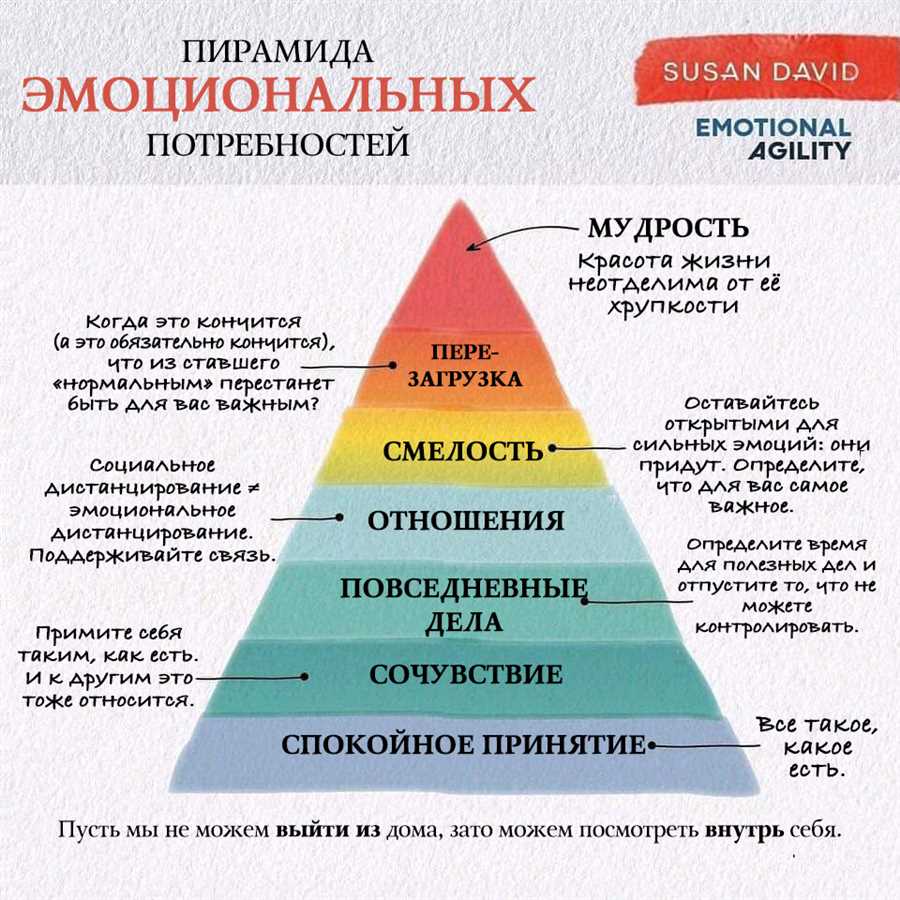 Преимущества инфракрасных и классических саун: какая модель лучше?