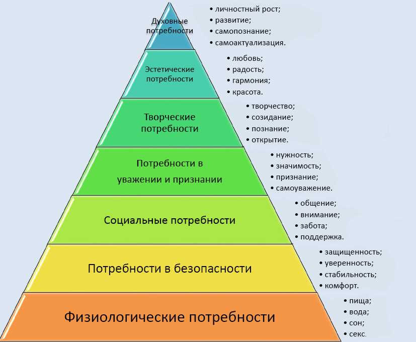 Особенности установки и ухода за сауной: что нужно знать?